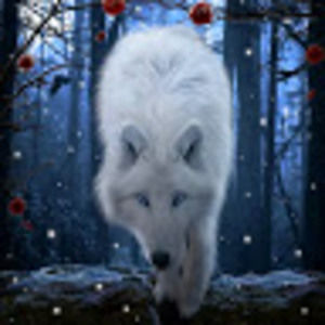 Meet your Posher, Tamera